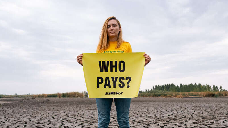 Μαζική βγήκε στη Ρουμανία. © Mihai Militaru / Greenpeace