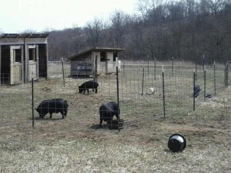 https://www.foxrunenvironmentaleduccenter.org/